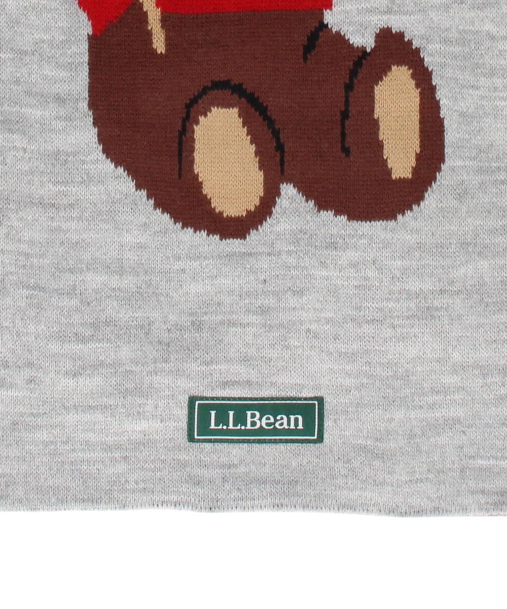 GRAY BEAR